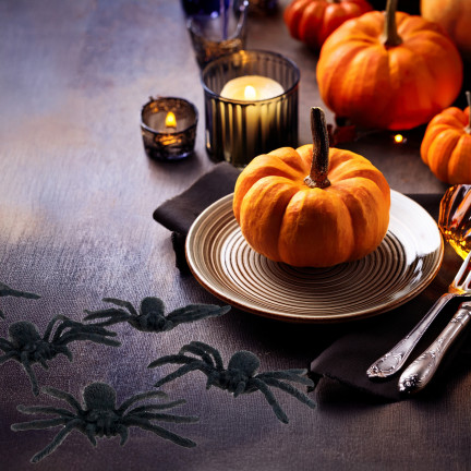 TG44534 HALLOWEEN SPINNEN 4PCS DEKORATION GROSS GRUSELIG