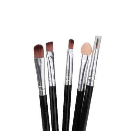 TG56450 Set von Reise-Make-up-Pinsel im Etui schwarz Pinsel in Rohr 5pcs