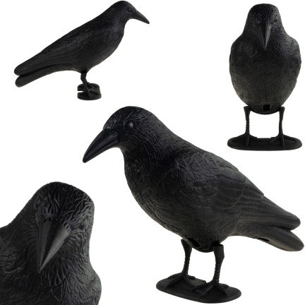 TG60297 GROSSE KRÄHE VOGEL ABSCHRECKUNG TAUBEN STARE