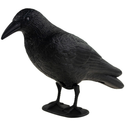 TG60297 GROSSE KRÄHE VOGEL ABSCHRECKUNG TAUBEN STARE