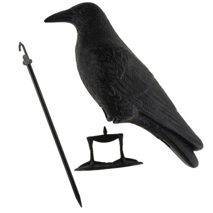 TG60297 GROSSE KRÄHE VOGEL ABSCHRECKUNG TAUBEN STARE