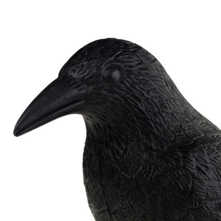 TG60297 GROSSE KRÄHE VOGEL ABSCHRECKUNG TAUBEN STARE