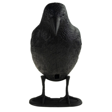 TG60297 GROSSE KRÄHE VOGEL ABSCHRECKUNG TAUBEN STARE