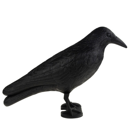 TG60297 GROSSE KRÄHE VOGEL ABSCHRECKUNG TAUBEN STARE