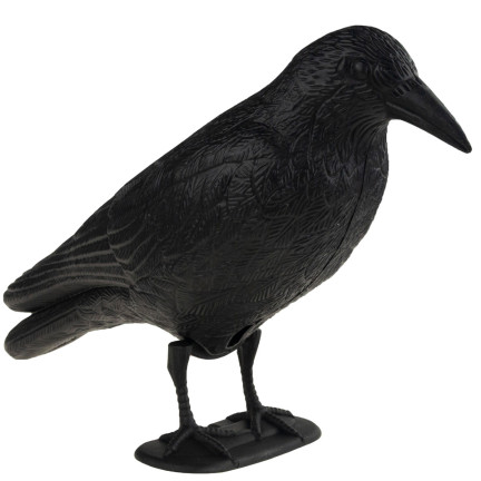 TG60297 GROSSE KRÄHE VOGEL ABSCHRECKUNG TAUBEN STARE
