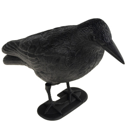 TG60297 GROSSE KRÄHE VOGEL ABSCHRECKUNG TAUBEN STARE