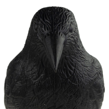 TG60297 GROSSE KRÄHE VOGEL ABSCHRECKUNG TAUBEN STARE
