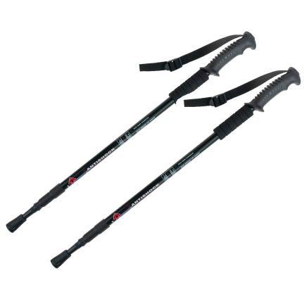 TG63153 NORDIC WALKING STÖCKE TREKKING STÖCKE