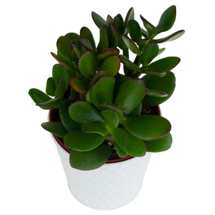 TG63221-1 DEKORATIVER BLUMENTOPFDECKEL AUS METALL WEISS