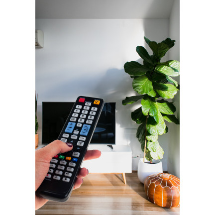 TG63282 UNIVERSAL FERNBEDIENUNG FÜR SAMSUNG SMART TV BN59-1039A