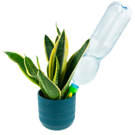 TG64374 BEWÄSSERUNGSGERÄT WASSERSPENDER FÜR BLUMENTOPF PFLANZEN MIT WASSERHAHN 10PCS.