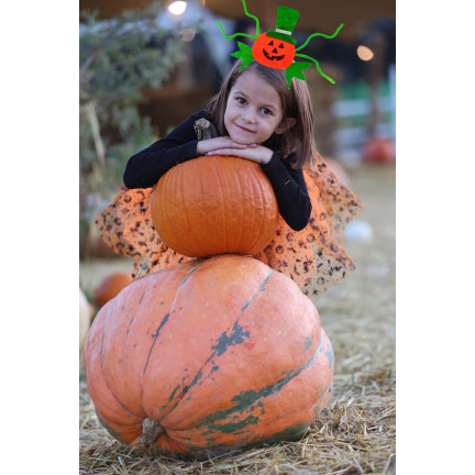 TG66294 HALLOWEEN DYNIA PARTY HEADband für das Kostüm