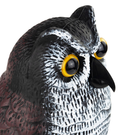 TG66894 VERSCHIEDENE VERSCHIEDENE UMFASSUNGSFIGUR für den Gartenvogel DRAGED MAKIETA