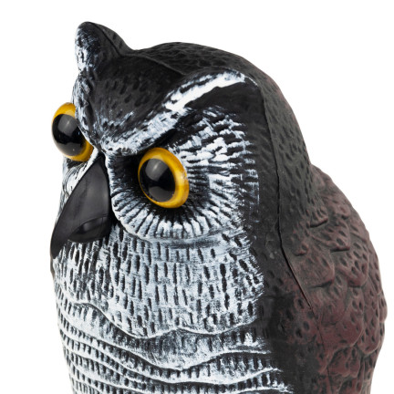 TG66894 VERSCHIEDENE VERSCHIEDENE UMFASSUNGSFIGUR für den Gartenvogel DRAGED MAKIETA