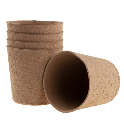 TG67327 TORF TÖPFE GROSS P10 SÄMLINGE 10CM 5PCS 0.5L