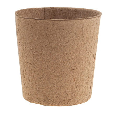 TG67327 TORF TÖPFE GROSS P10 SÄMLINGE 10CM 5PCS 0.5L