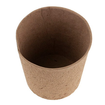 TG67327 TORF TÖPFE GROSS P10 SÄMLINGE 10CM 5PCS 0.5L