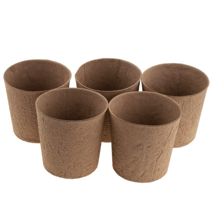 TG67327 TORF TÖPFE GROSS P10 SÄMLINGE 10CM 5PCS 0.5L