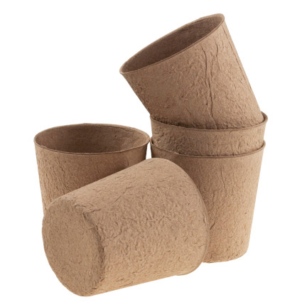 TG67327 TORF TÖPFE GROSS P10 SÄMLINGE 10CM 5PCS 0.5L