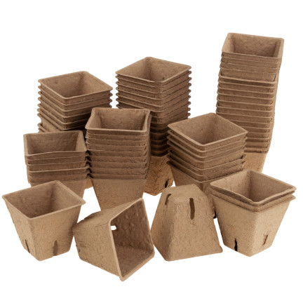 TG67328 BIO-DEGRADED PLANTING POND 5.5cm 72pcs