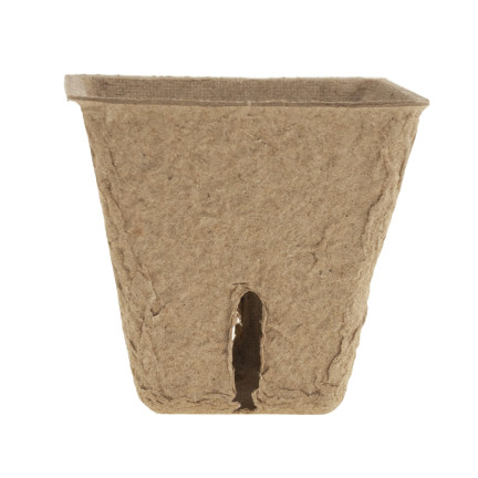 TG67328 BIO-DEGRADED PLANTING POND 5.5cm 72pcs