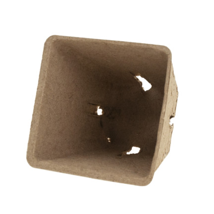 TG67328 BIO-DEGRADED PLANTING POND 5.5cm 72pcs