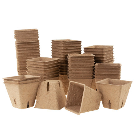 TG67328 BIO-DEGRADED PLANTING POND 5.5cm 72pcs