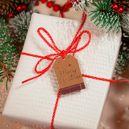 TG69623 WEIHNACHTEN GESCHENKANHÄNGER TAGS 12PCS/PAAR GESCHENK