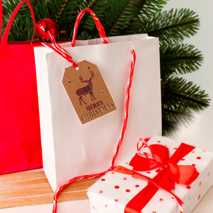 TG69623 WEIHNACHTEN GESCHENKANHÄNGER TAGS 12PCS/PAAR GESCHENK