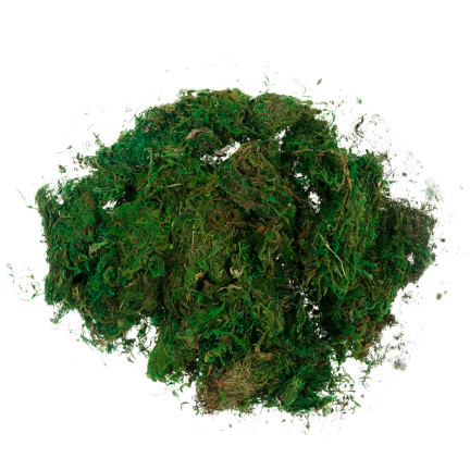 TG70316 ARTIFICIAL MECH 1kg SANDRY DECORATING MECH FOR STARS GREEN DURABLE