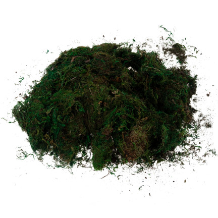 TG70316 ARTIFICIAL MECH 1kg SANDRY DECORATING MECH FOR STARS GREEN DURABLE