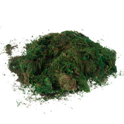 TG70316 ARTIFICIAL MECH 1kg SANDRY DECORATING MECH FOR STARS GREEN DURABLE