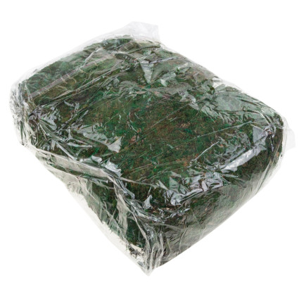 TG70316 ARTIFICIAL MECH 1kg SANDRY DECORATING MECH FOR STARS GREEN DURABLE