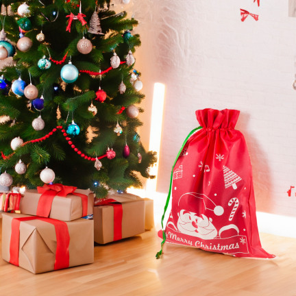TG70466-2 Weihnachtsgeschenktüte Weihnachtsgeschenktüte rot groß