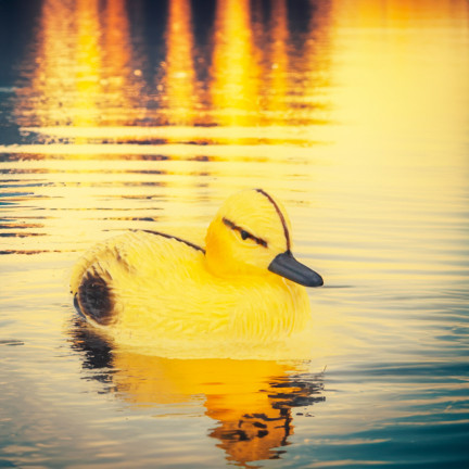 TG71081 KUNSTSTOFF ENTE SCHWIMMENDE ENTE FÜR TEICH TEICH FIGUR