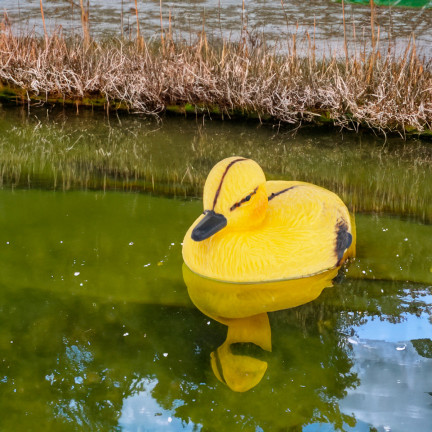 TG71081 KUNSTSTOFF ENTE SCHWIMMENDE ENTE FÜR TEICH TEICH FIGUR