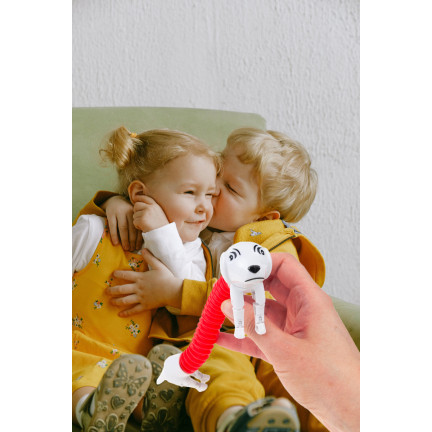 TG71095 DACKEL HUND STRETCHING HUND ANTI-STRESS ERHEBEND POP TUBE STRETCH SPIELZEUG FRÜHLING