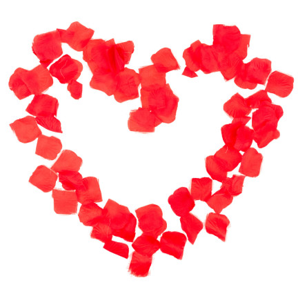 TG71326 KONFETTI ROSENBLÜTENBLÄTTER ROT SCHIESSEN ROHR FÜR HOCHZEIT VERLOBUNG VALENTINSTAG HOCHZEIT