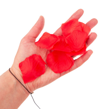 TG71326 KONFETTI ROSENBLÜTENBLÄTTER ROT SCHIESSEN ROHR FÜR HOCHZEIT VERLOBUNG VALENTINSTAG HOCHZEIT