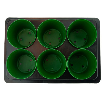 TG71424 PRODUKTIONSBEHÄLTER für die Aussaat von Setzlingen 6 St. + Palette