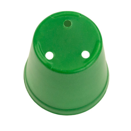 TG71424 PRODUKTIONSBEHÄLTER für die Aussaat von Setzlingen 6 St. + Palette
