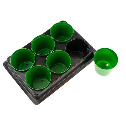 TG71424 PRODUKTIONSBEHÄLTER für die Aussaat von Setzlingen 6 St. + Palette