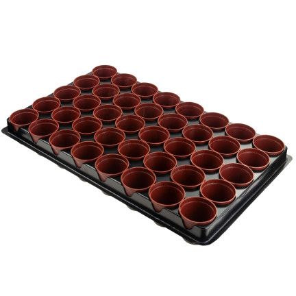 TG71426 PRODUKTIONSBEHÄLTER für die Aussaat von Setzlingen 40 St. + Palette
