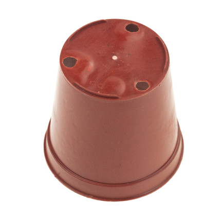 TG71426 PRODUKTIONSBEHÄLTER für die Aussaat von Setzlingen 40 St. + Palette