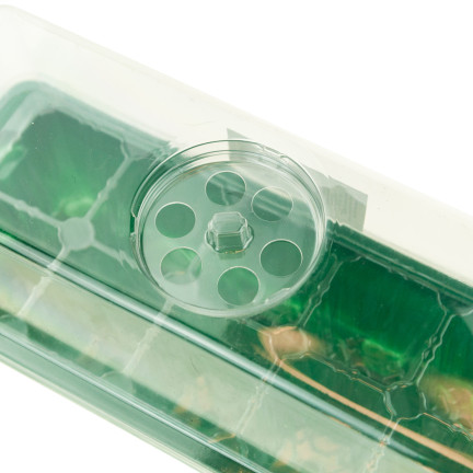 TG71790 MINI GLASROOM INSPECTION GROWING DISTRIBUTOR + Belüftung