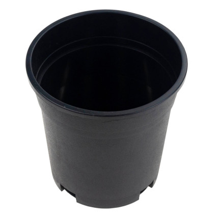 TG72940 PRODUKTIONSTOPF HOCH P14 1.5L RUNDER SETZLINGSTOPF MIT RAND 14X14CM