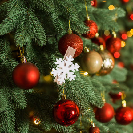 TG75364 Weihnachtsklammern, 6 Stück/Set, Rentiere, Weihnachtsbäume, Schneeflocken, dekorative Klammern