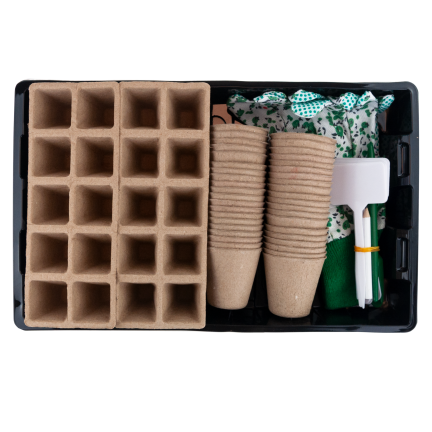 TG77610 Mini-Gewächshaus SURFACE CULTIVATION KIT THORF CONTAINERS Handschuhe