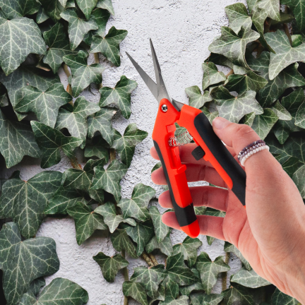 TG77631 Baumschere, Schere, Trimmer, Gartenschere für Blumen