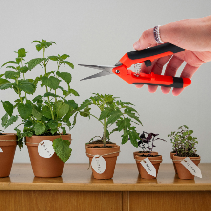 TG77631 Baumschere, Schere, Trimmer, Gartenschere für Blumen